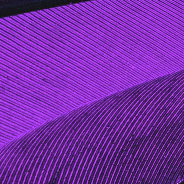 Careers | Early Careers